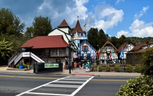 dumpster in helen ga city